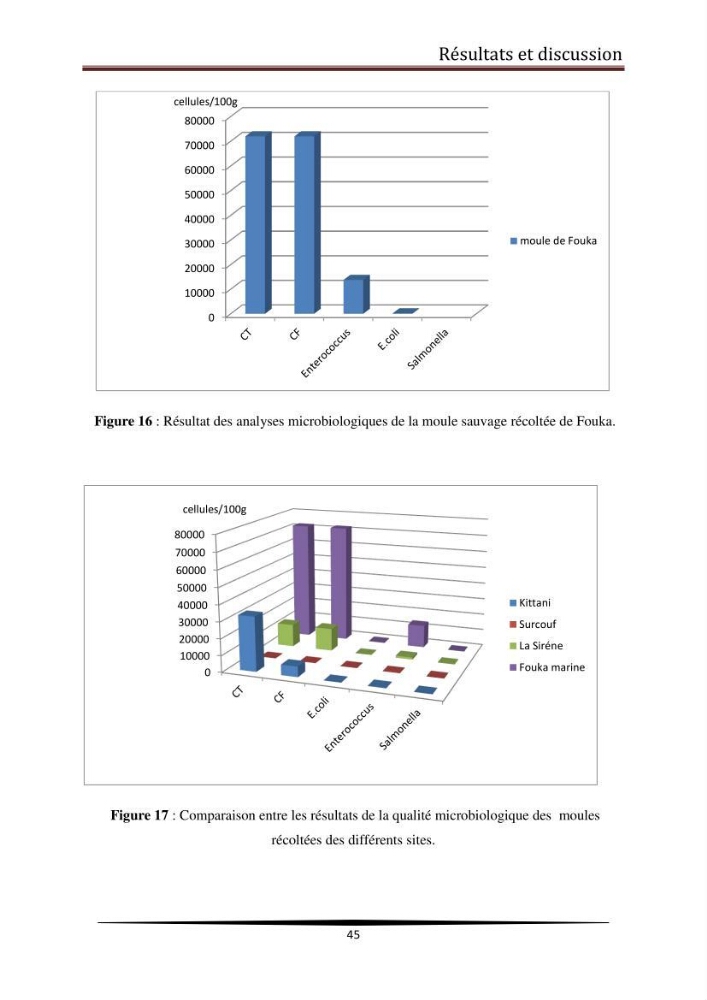 Analyse microbiologique de la moule Mytilus galloprovincialis: