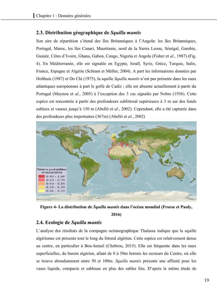 Contribution a l\'étude du régime alimentaire, de la croissance et de l\'exploitation de la squille squilla mantis linnaeus ,1758 dans la baie de bou-ismail.