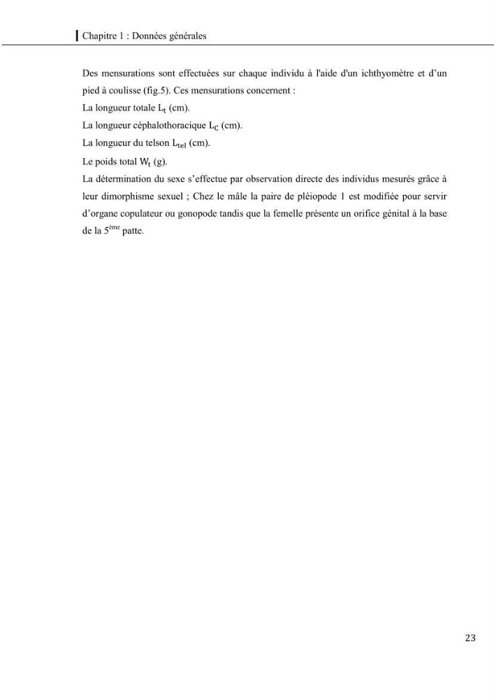 Contribution a l\'étude du régime alimentaire, de la croissance et de l\'exploitation de la squille squilla mantis linnaeus ,1758 dans la baie de bou-ismail.
