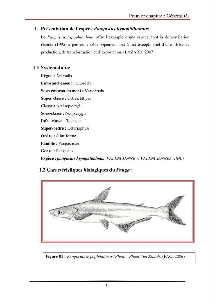 Contribution à l\'étude de la qualité microbiologique du poisson congelé panga (Pangasius hypophthalmus):