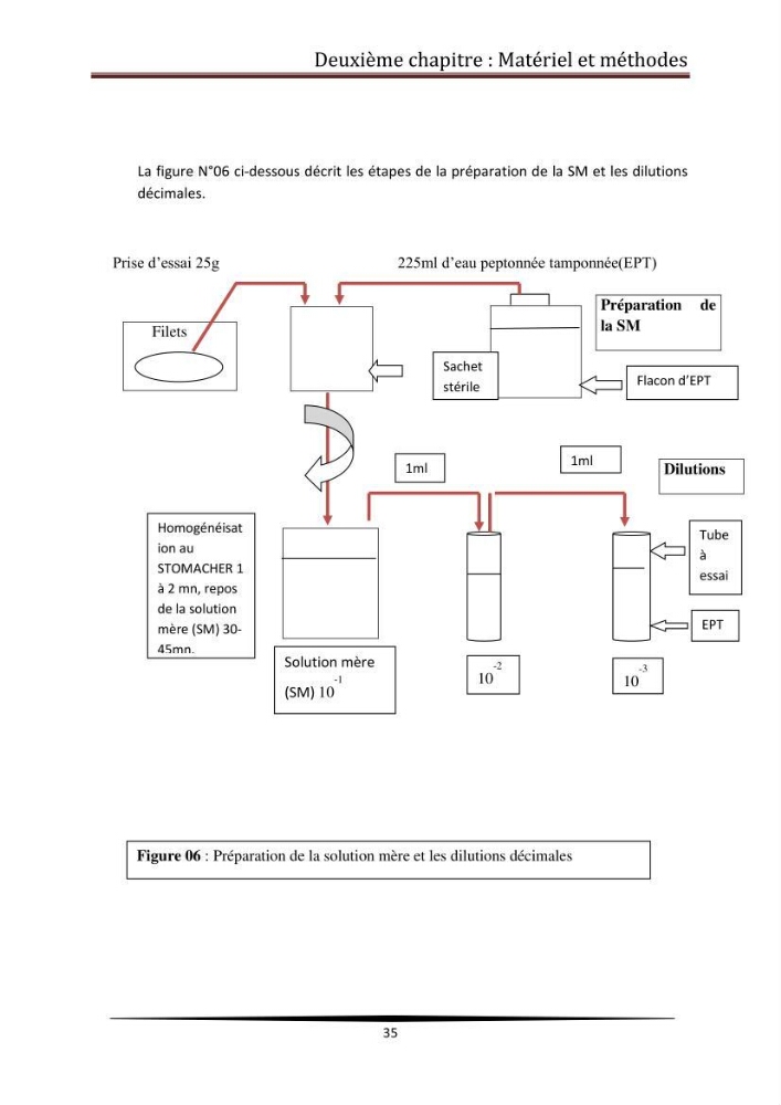 Contribution à l\'étude de la qualité microbiologique du poisson congelé panga (Pangasius hypophthalmus):
