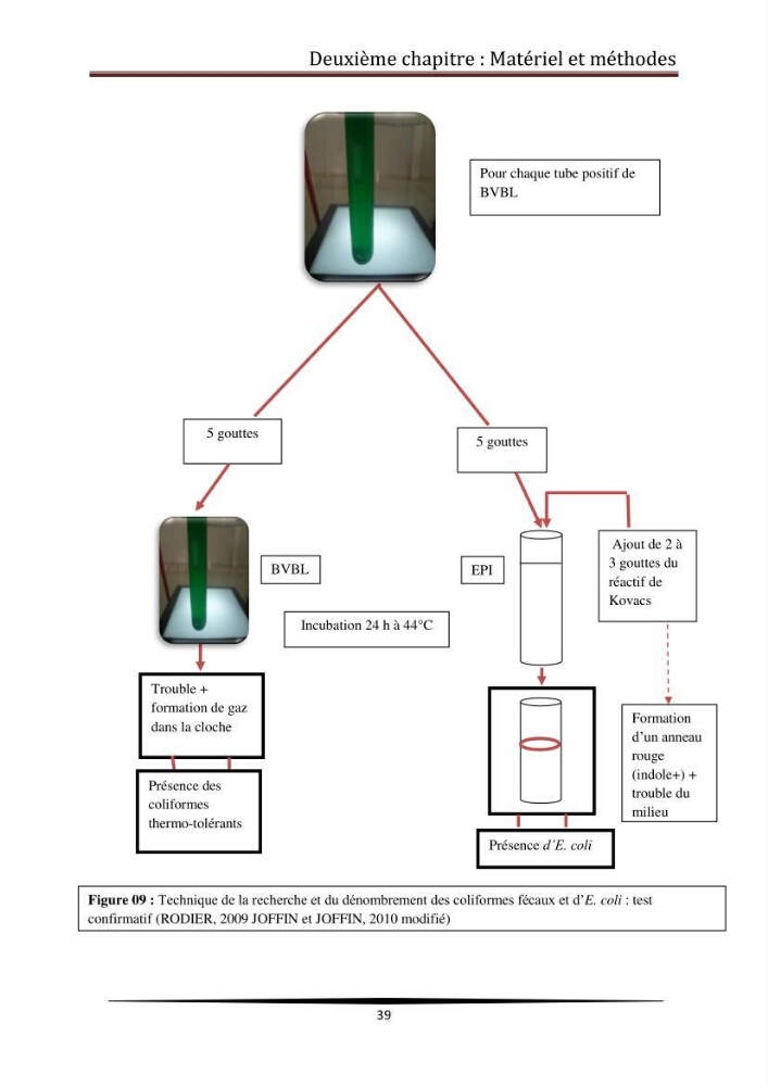 Contribution à l\'étude de la qualité microbiologique du poisson congelé panga (Pangasius hypophthalmus):