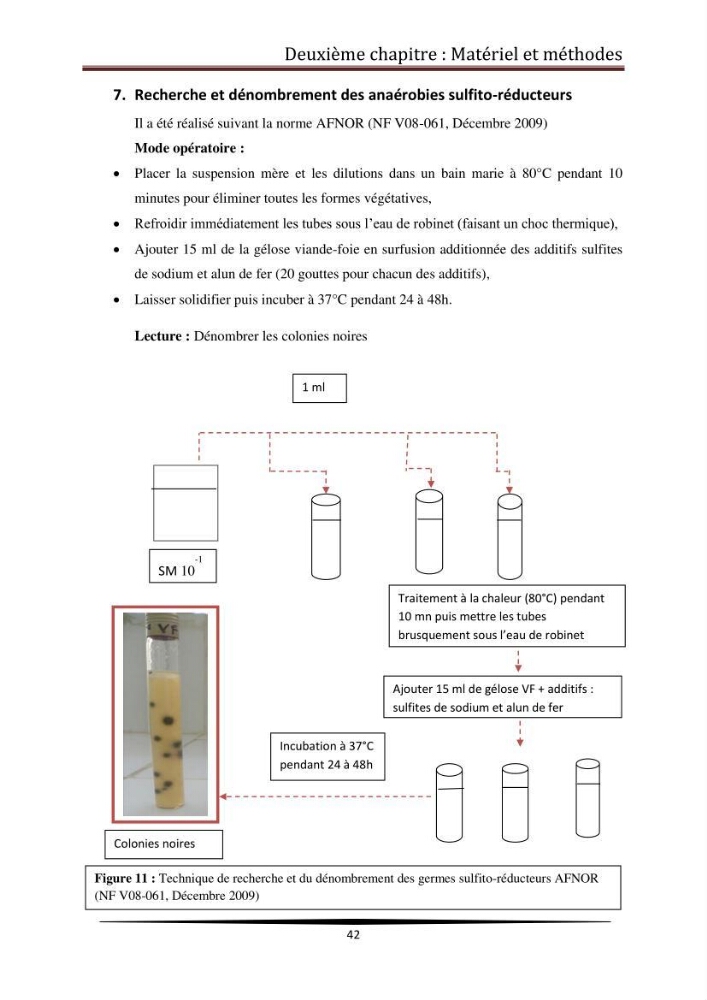 Contribution à l\'étude de la qualité microbiologique du poisson congelé panga (Pangasius hypophthalmus):