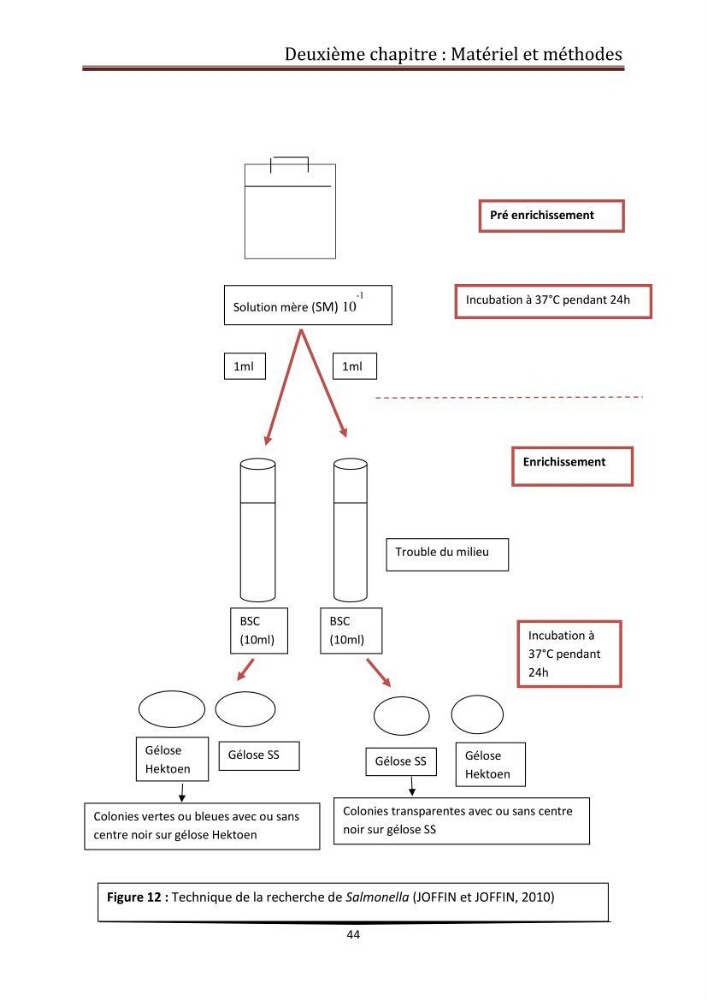 Contribution à l\'étude de la qualité microbiologique du poisson congelé panga (Pangasius hypophthalmus):