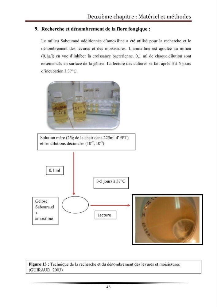 Contribution à l\'étude de la qualité microbiologique du poisson congelé panga (Pangasius hypophthalmus):