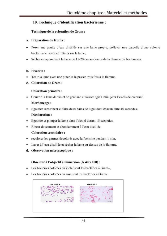 Contribution à l\'étude de la qualité microbiologique du poisson congelé panga (Pangasius hypophthalmus):