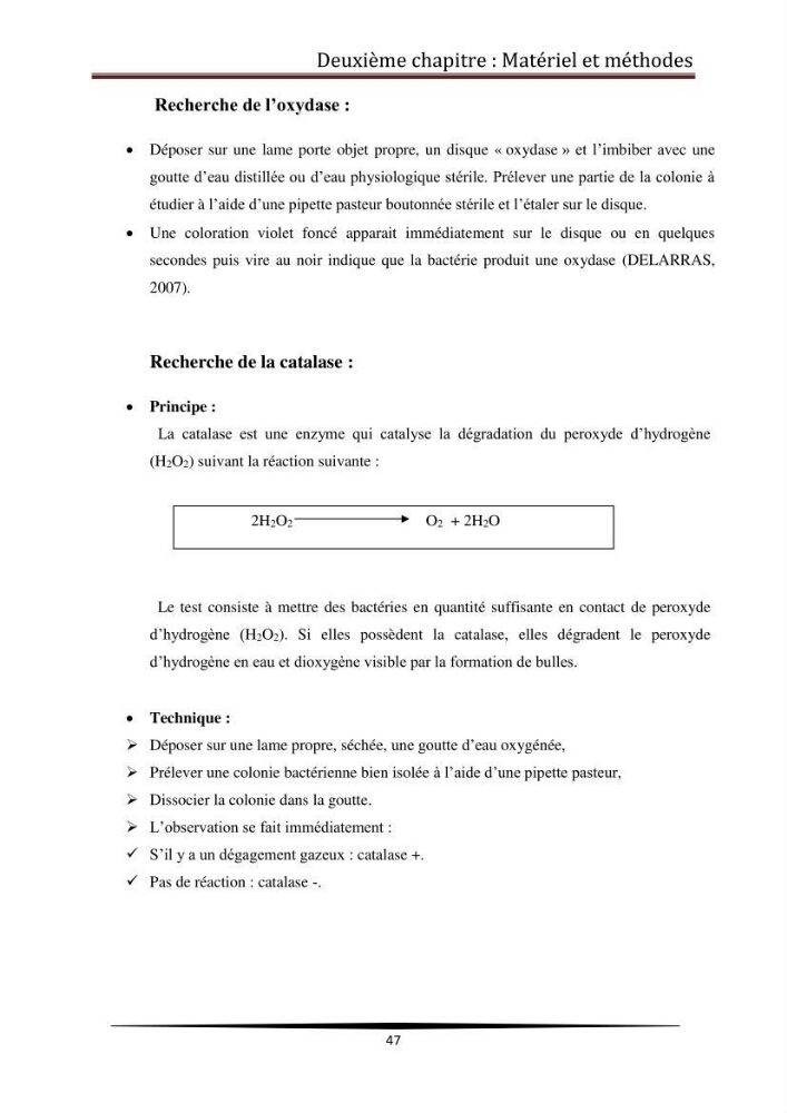 Contribution à l\'étude de la qualité microbiologique du poisson congelé panga (Pangasius hypophthalmus):