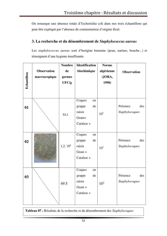 Contribution à l\'étude de la qualité microbiologique du poisson congelé panga (Pangasius hypophthalmus):