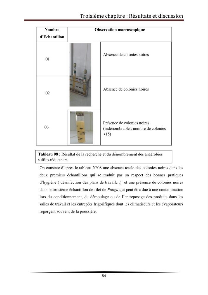 Contribution à l\'étude de la qualité microbiologique du poisson congelé panga (Pangasius hypophthalmus):