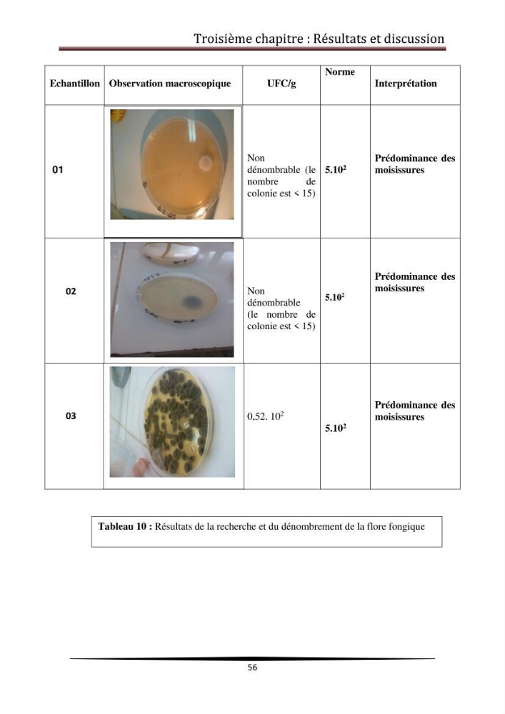 Contribution à l\'étude de la qualité microbiologique du poisson congelé panga (Pangasius hypophthalmus):