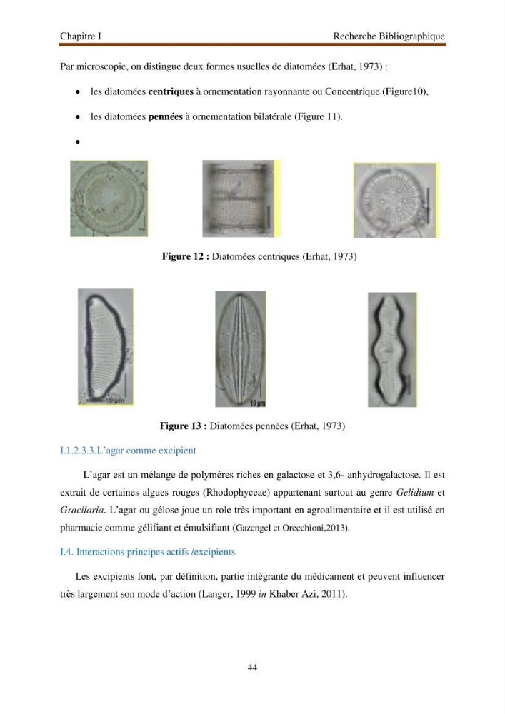 Extraction de biopolymères chitineux d\'intérêt pharmacologique à partir de sous-produits de la pêche: