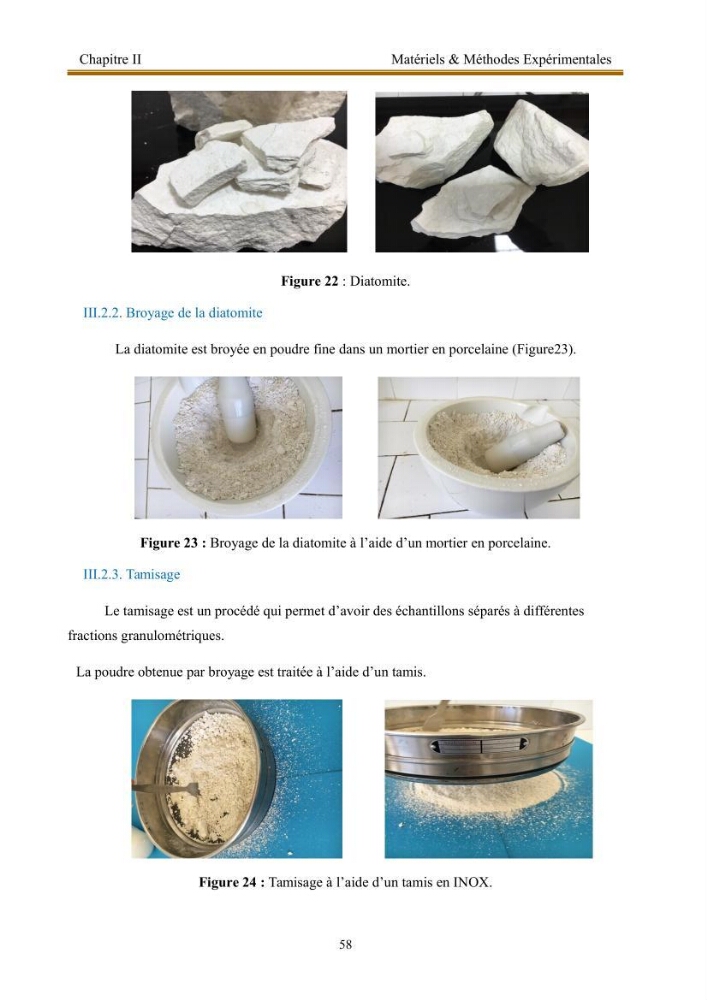 Extraction de biopolymères chitineux d\'intérêt pharmacologique à partir de sous-produits de la pêche: