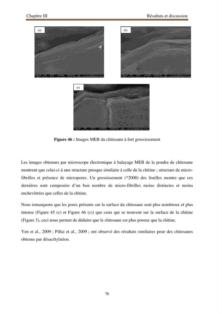 Extraction de biopolymères chitineux d\'intérêt pharmacologique à partir de sous-produits de la pêche: