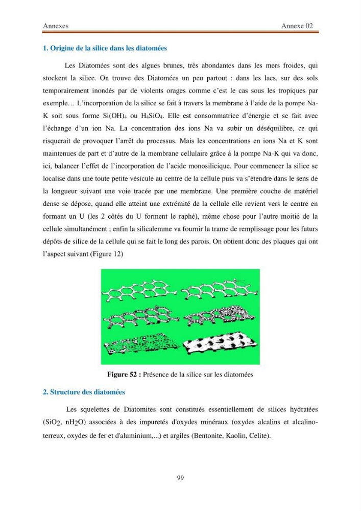 Extraction de biopolymères chitineux d\'intérêt pharmacologique à partir de sous-produits de la pêche: