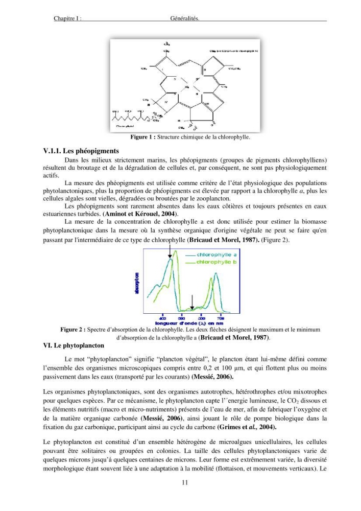 Apport du système d\'information géographique (SIG) pour la modélisation de la couleur des eaux marines