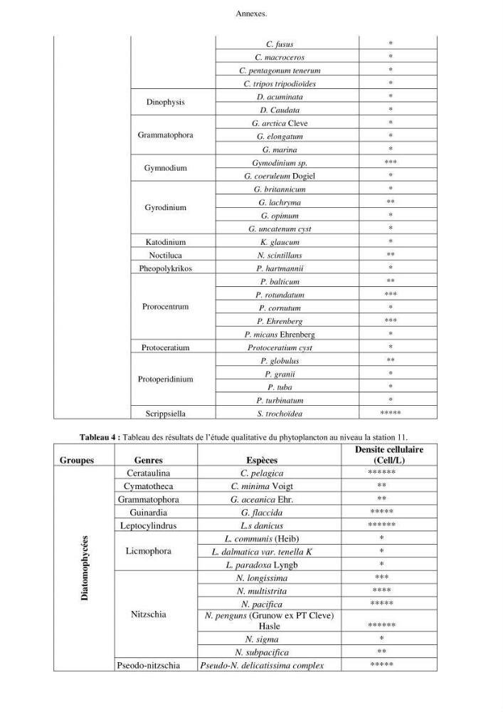 Apport du système d\'information géographique (SIG) pour la modélisation de la couleur des eaux marines
