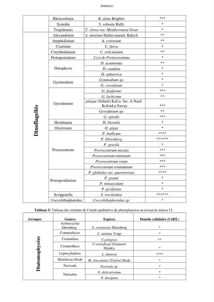 Apport du système d\'information géographique (SIG) pour la modélisation de la couleur des eaux marines