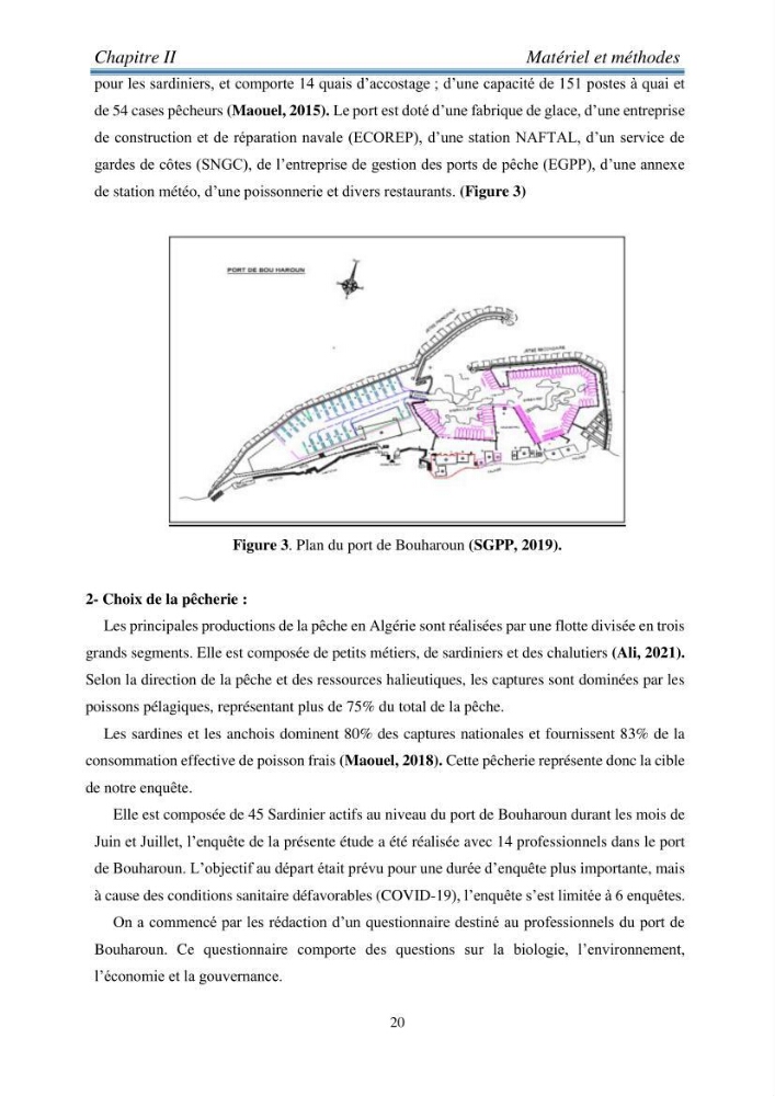 Analyse SWOT (Forces - Faiblaisses - Opportunités - Menaces ) comme outils d\'aide à la décision: cas de la pêcherie sardinière Algérienne