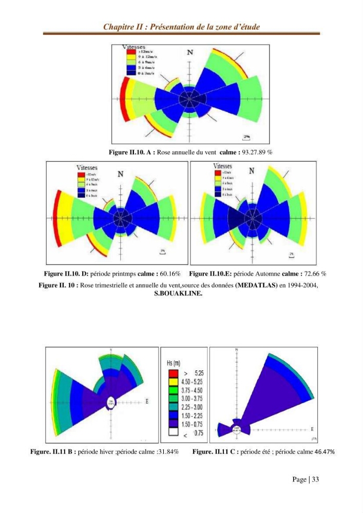 Modélisation Numérique de la morphodynamique sédimentaire et de la cinématique du trait de côte Chenoua plage, willaya de Tipaza.