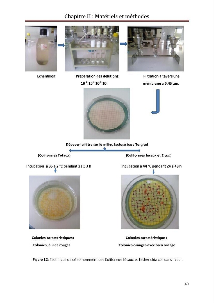 Contribution a L\'étude des parametres physico-chimique et bactériologiques du littoral de boudouaou el bahri pour la création d\'une station d\'une station d\'épuration :