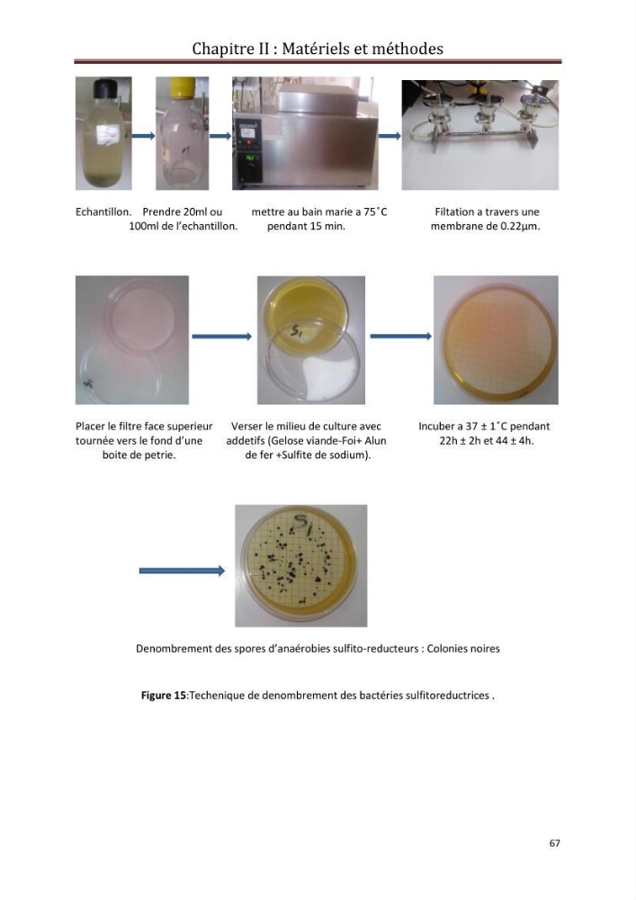Contribution a L\'étude des parametres physico-chimique et bactériologiques du littoral de boudouaou el bahri pour la création d\'une station d\'une station d\'épuration :