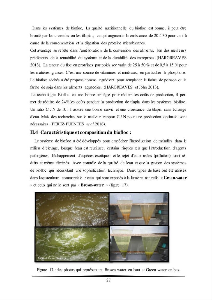 Essais d’élevage de Tilapia Nilotica en système biofloc : Effet sur la croissance, la reproduction et les paramètres du milieu: