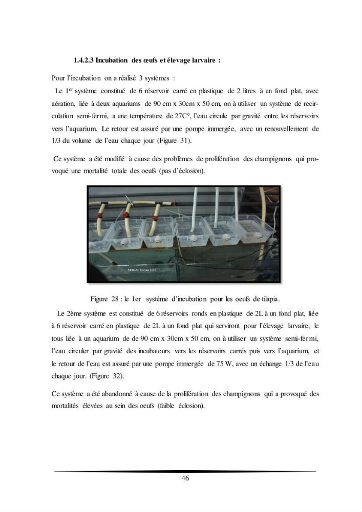Essais d’élevage de Tilapia Nilotica en système biofloc : Effet sur la croissance, la reproduction et les paramètres du milieu: