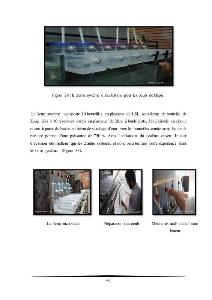 Essais d’élevage de Tilapia Nilotica en système biofloc : Effet sur la croissance, la reproduction et les paramètres du milieu: