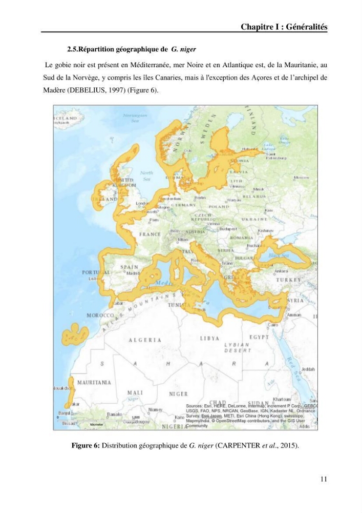Contribution à l’étude de la croissance et de l’exploitation du gobie noir Gobius niger L., 1758 (Actinopterygii, Perciformes) du golfe de Béjaïa: