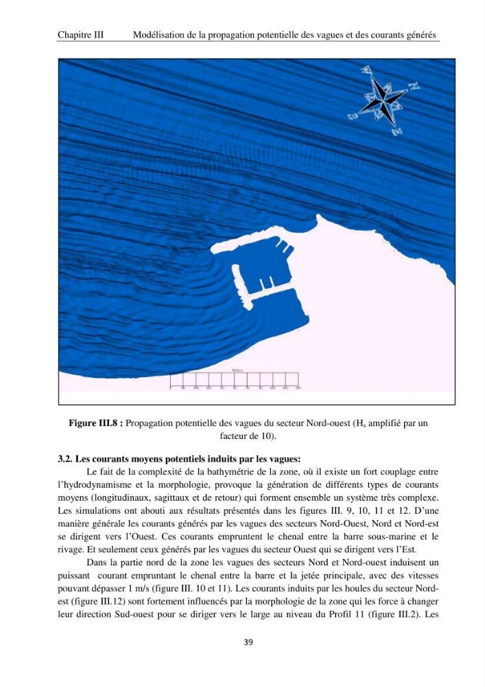 Application de la modélisation numérique pour l\'étude de l\'ensablement du port de cap Djinet