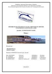 Impact de milieu marin sur la qualité du béton: station de recherche ENSSMAL, Sidi Fredj