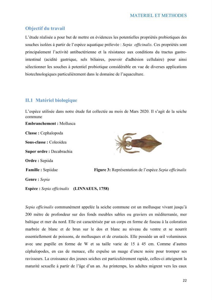 Etude du potentiel probiotique de bactéries à Gram négatif isolées à partir d’échantillons aquatiques:
