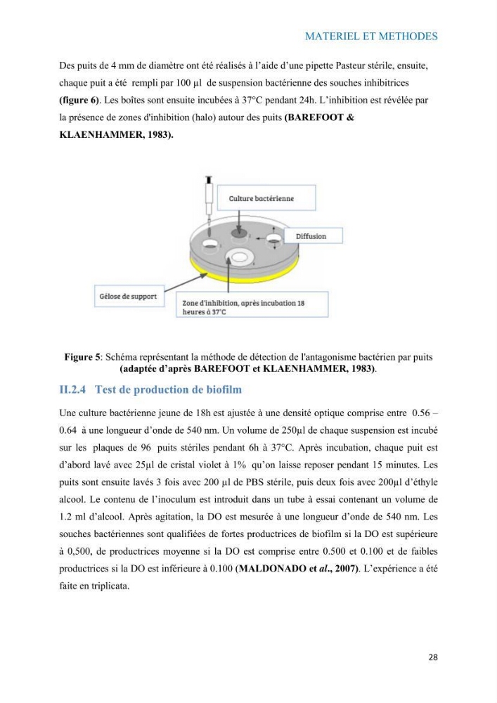 Etude du potentiel probiotique de bactéries à Gram négatif isolées à partir d’échantillons aquatiques: