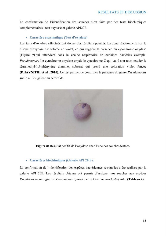 Etude du potentiel probiotique de bactéries à Gram négatif isolées à partir d’échantillons aquatiques: