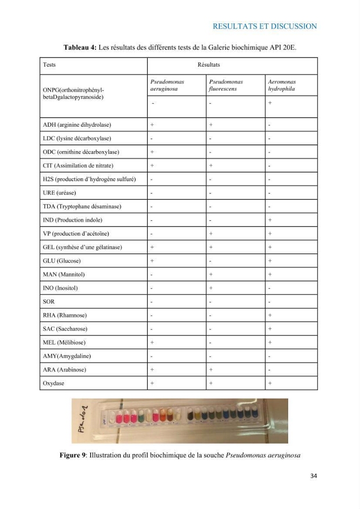 Etude du potentiel probiotique de bactéries à Gram négatif isolées à partir d’échantillons aquatiques: