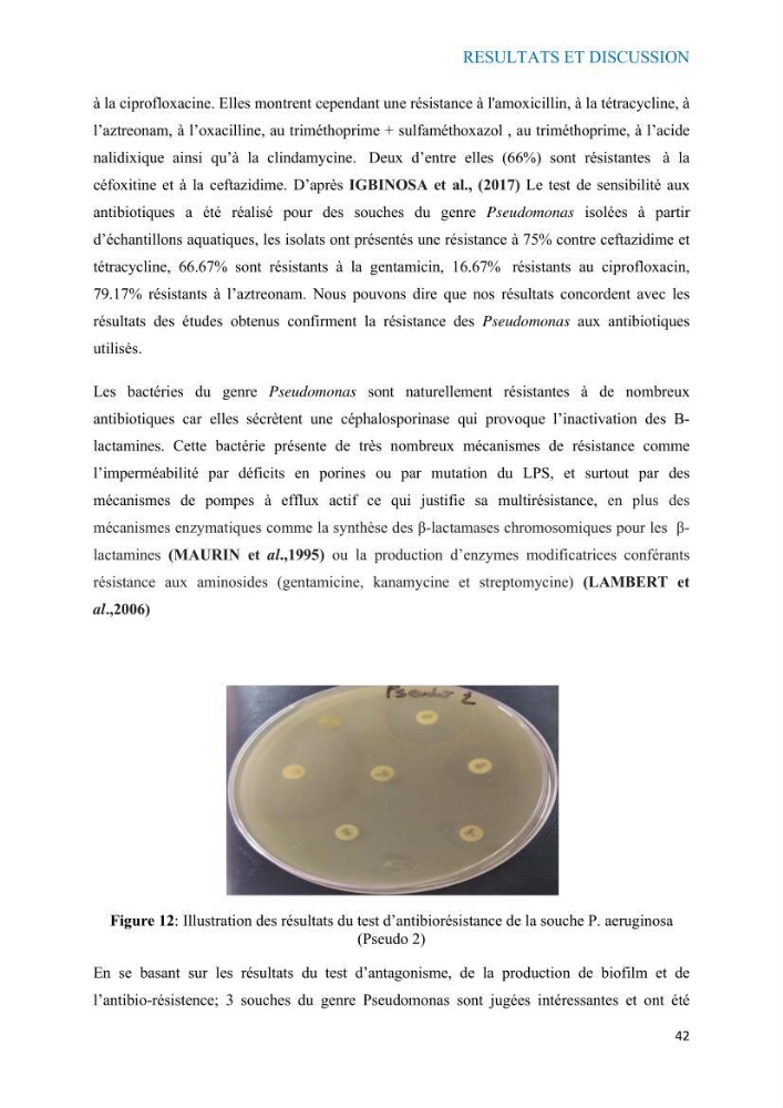 Etude du potentiel probiotique de bactéries à Gram négatif isolées à partir d’échantillons aquatiques:
