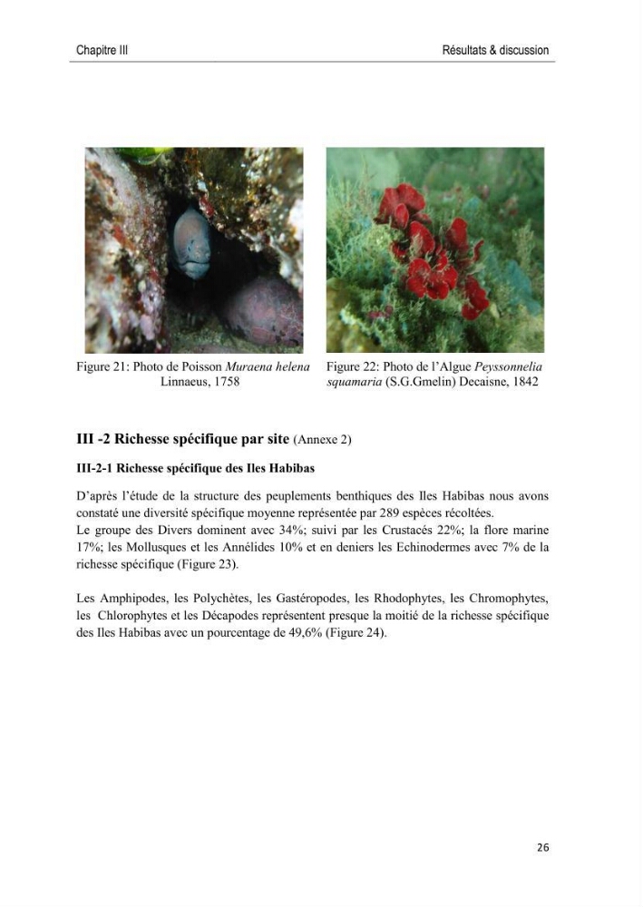 Caractérisation des peuplements benthiques des aires marines protégées en Algérie
