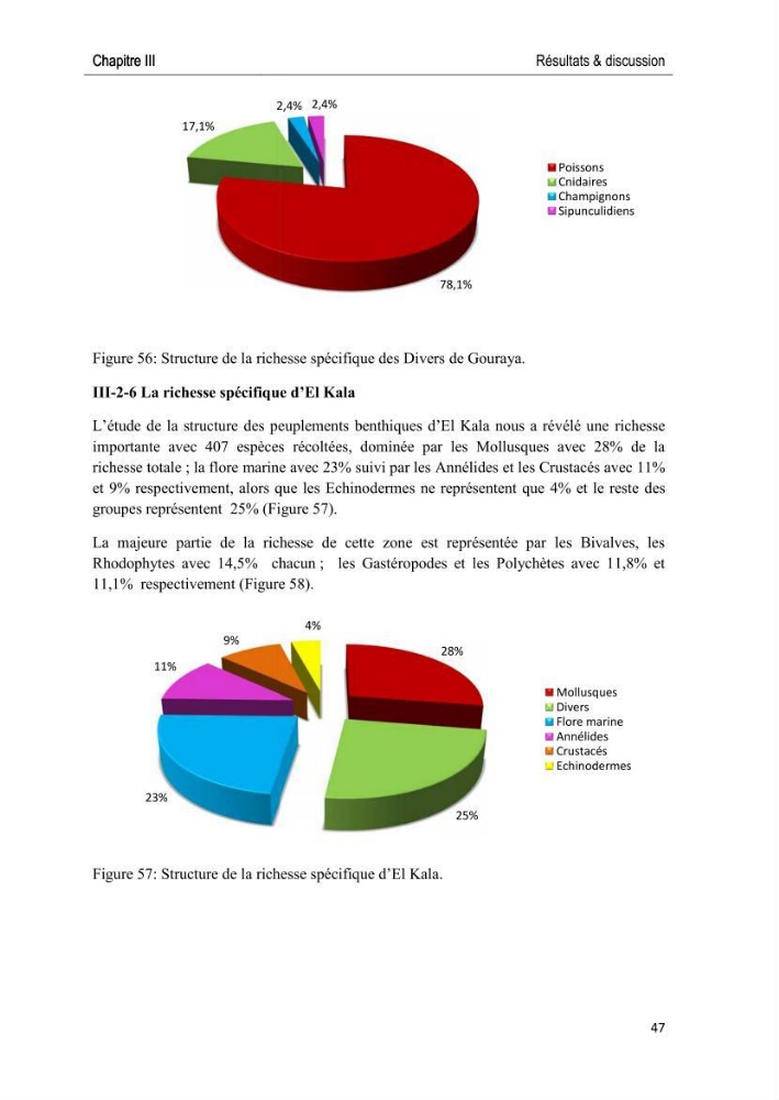 Caractérisation des peuplements benthiques des aires marines protégées en Algérie