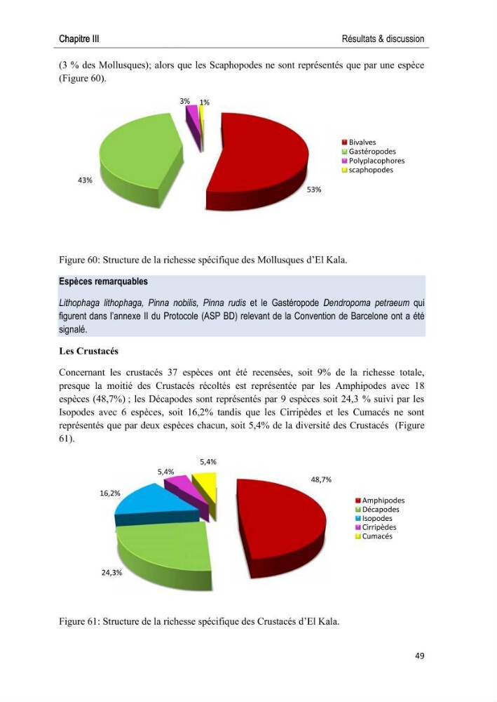 Caractérisation des peuplements benthiques des aires marines protégées en Algérie