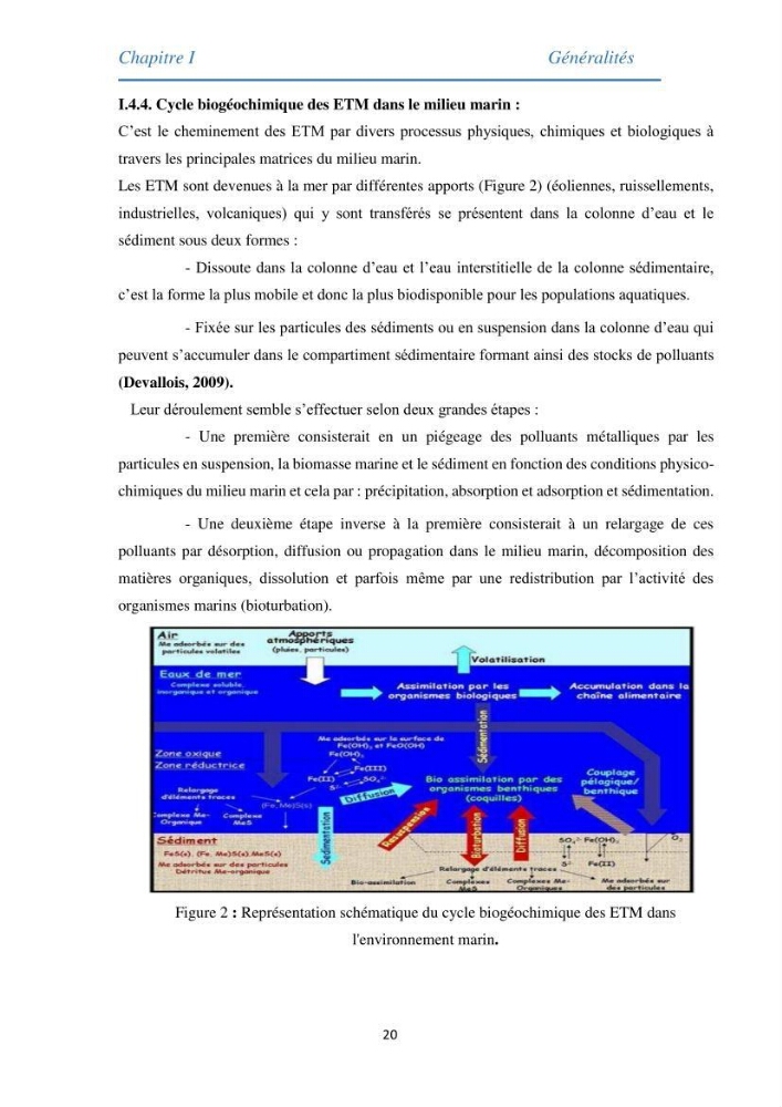 Etude des métaux traces chez les moules de la côte algeroise