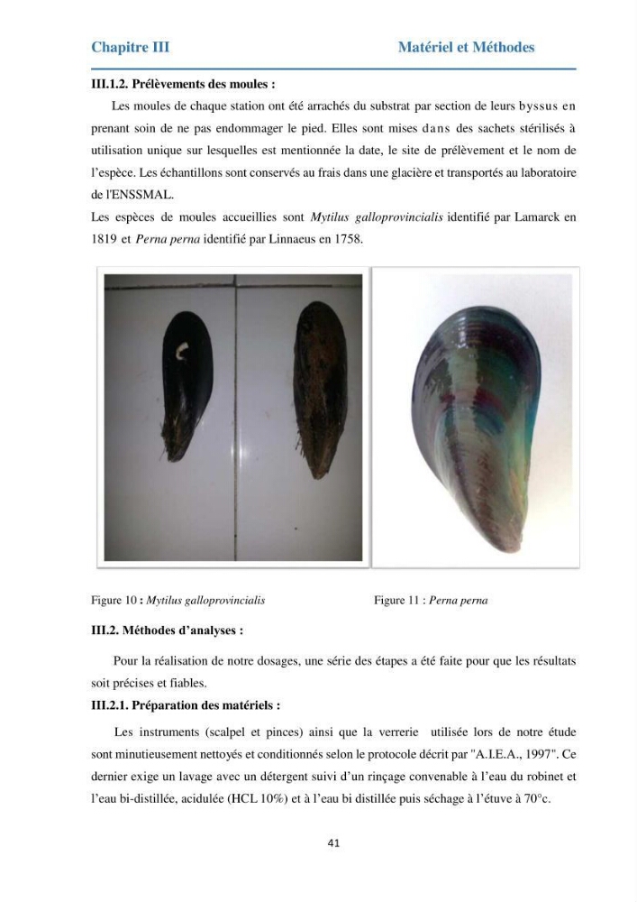 Etude des métaux traces chez les moules de la côte algeroise