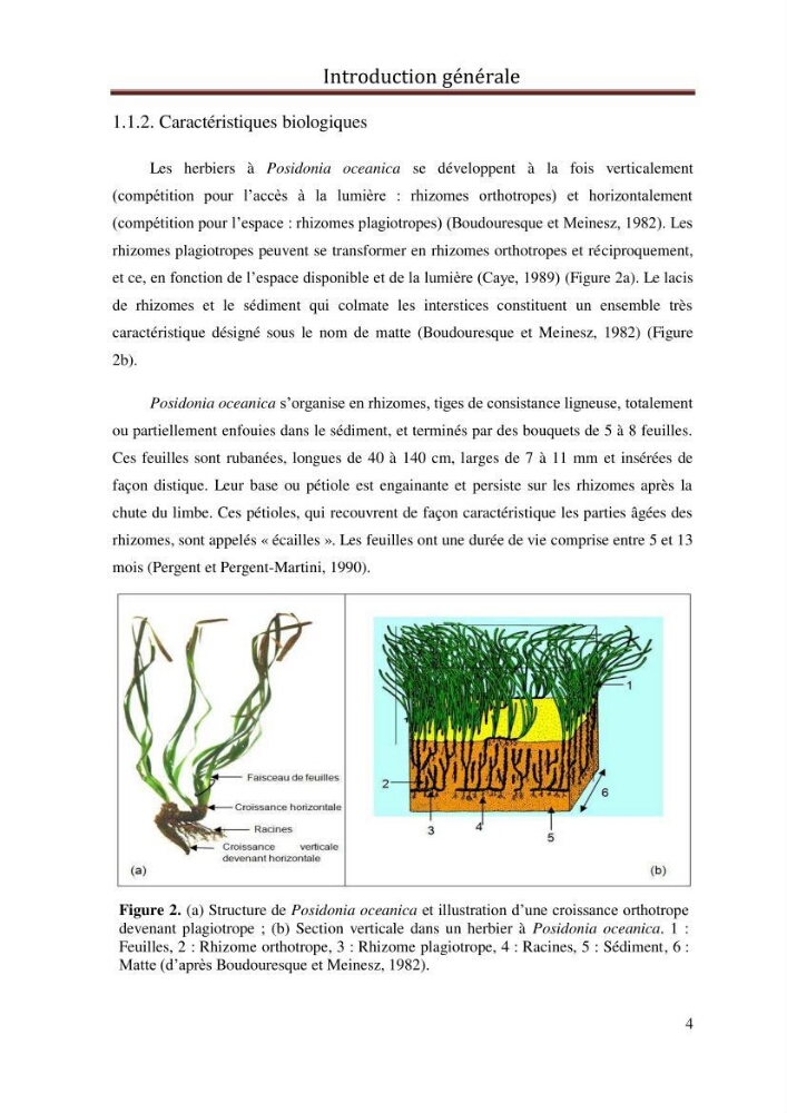 Evaluation de l’état écologique des eaux côtières algéroises par l’utilisation d’un indice algéroises par l’utilisation d’un indice