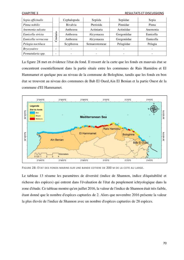 Evaluation des impacts anthropiques àpartir d\'un mna : modéle numérique d\'altimétrie d\'une zone littorale comprise entre bab eloude-ain benian alger