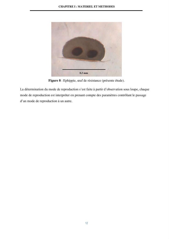 Mise en évidence des performances d\'un elevage d\'une souche de Daphnies: Daphnia magna