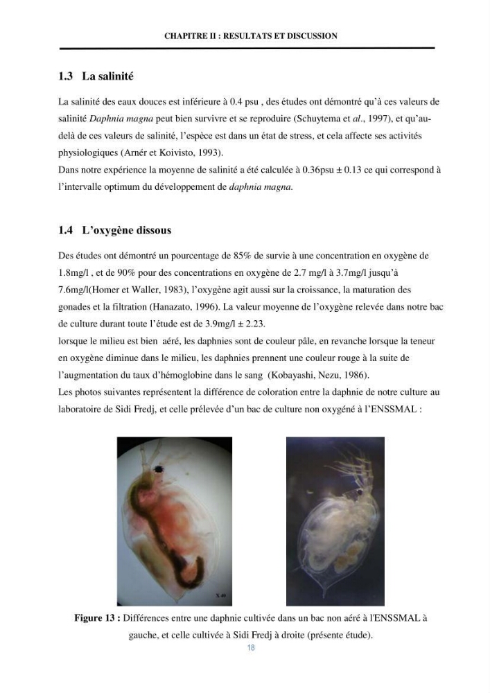 Mise en évidence des performances d\'un elevage d\'une souche de Daphnies: Daphnia magna