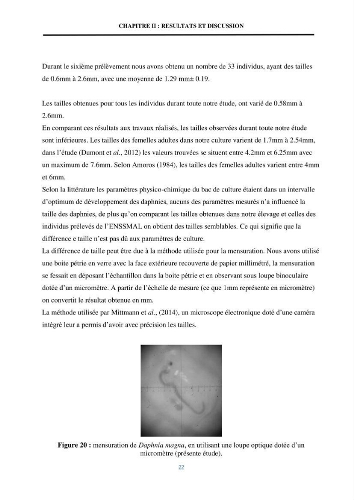 Mise en évidence des performances d\'un elevage d\'une souche de Daphnies: Daphnia magna