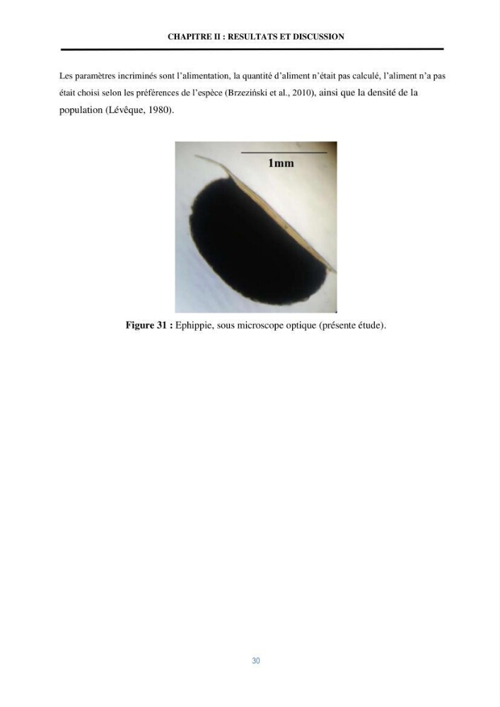 Mise en évidence des performances d\'un elevage d\'une souche de Daphnies: Daphnia magna