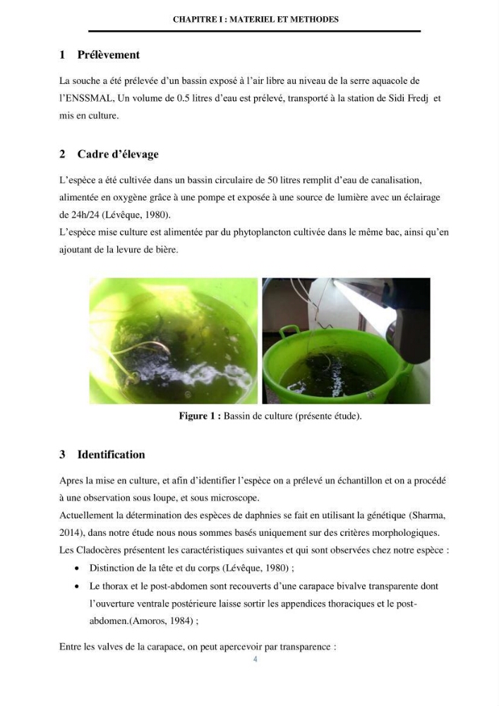 Mise en évidence des performances d\'un elevage d\'une souche de Daphnies: Daphnia magna: