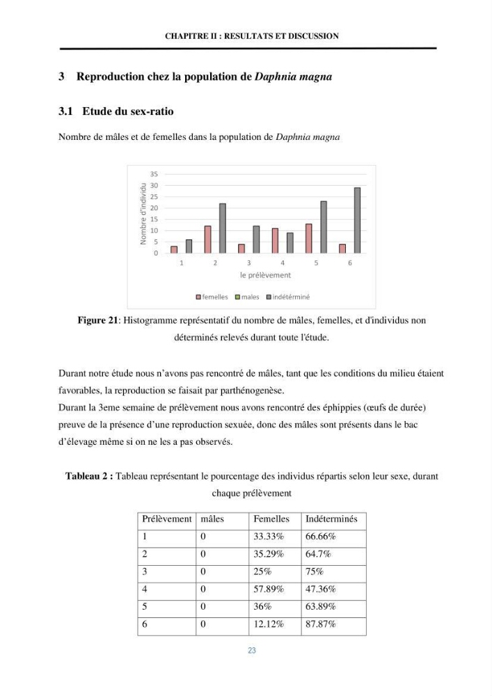 Mise en évidence des performances d\'un elevage d\'une souche de Daphnies: Daphnia magna: