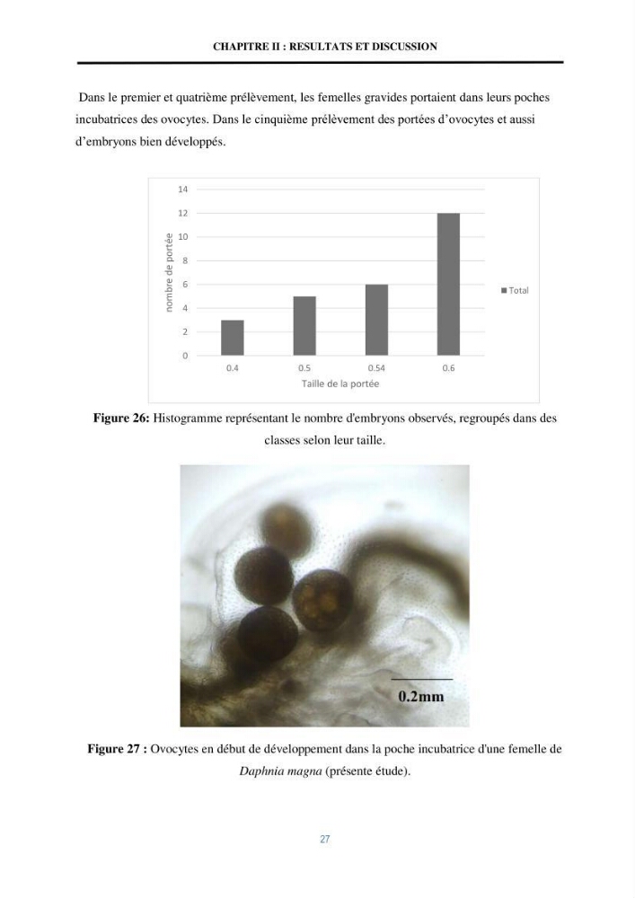 Mise en évidence des performances d\'un elevage d\'une souche de Daphnies: Daphnia magna: